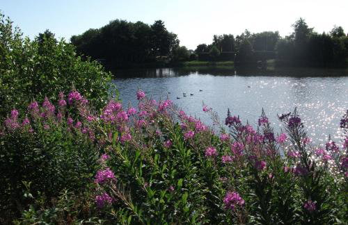 Landflair am See - Photo 28