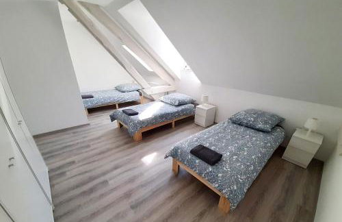 Work & Stay Apartment in Stolberg bei Aachen - Foto 48