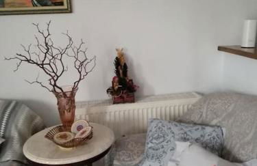 Nostalgia Apartments B Plus in Sami 50 meters from the sea - Foto 9