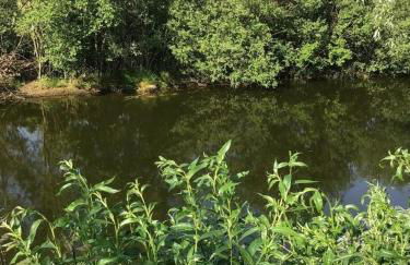 Seepark Cox ️️️️ - Foto 17