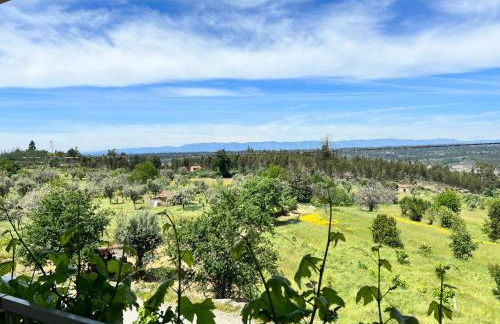 Casa dos Cabecinhos - Foto 24