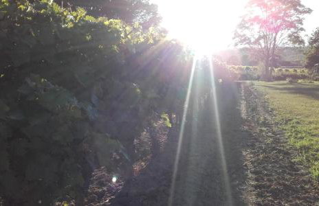 La Bastide du Capelier - Gîte pour 4 personnes avec baignoire balnéothérapie - Foto 16