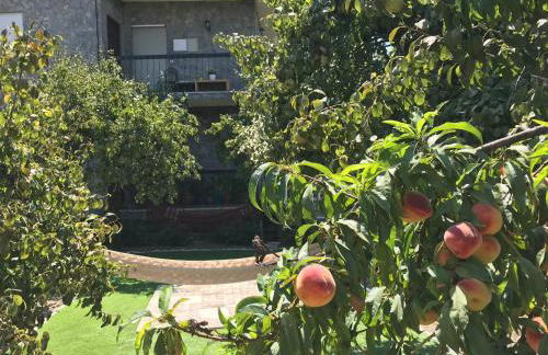 DDS-Dominio das Sem&ntes - Foto 14