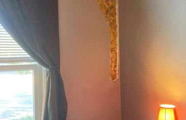 La Casita Colorada, 12 block to river STR#865 - Foto 18