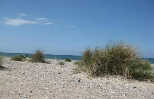 Ferienhof Christian und Antje Hopp - Foto 28