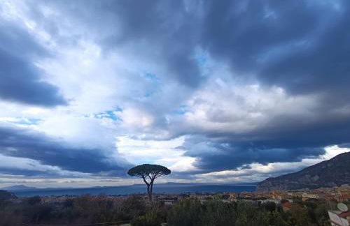 La Pigna Sorrento - Foto 34