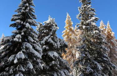 Ary Holiday Home Ski , Bike & Walk - Foto 30