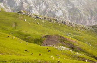 Piso en Picos de Europa - Riaño Licencia VUT-LE-818 - Foto 38
