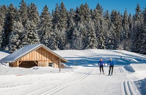 Superbe appartement au pied des pistes -Le chamois - Foto 18