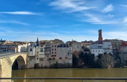 Appartement vue Lot dans Bastide - Foto 24