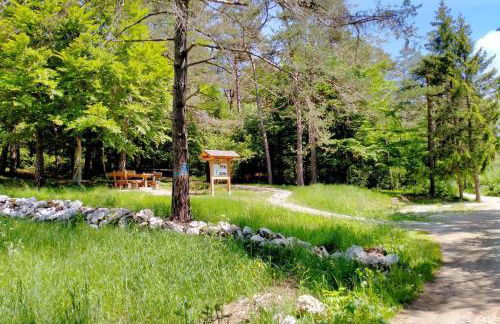 Trilocale ALICE nel paese delle meraviglie - Foto 43