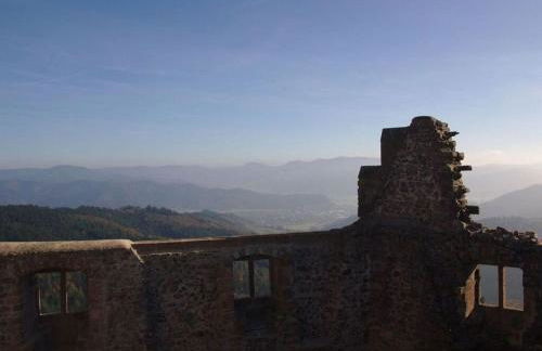 Rebenrain Comfortable Holiday Residence - Foto 34