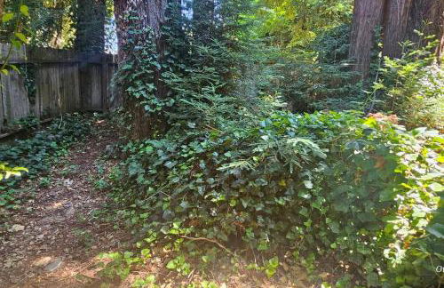 Retreat to Stella Maris Soul Spa by the Russian River - Foto 20