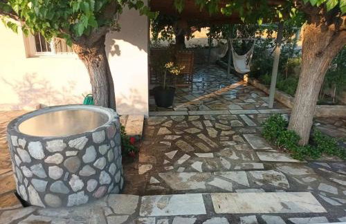 Ktima Rodies in Neochori Zacharo - Foto 26