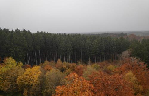 Wie Zuhause! Wohnung mit Garten - Foto 24