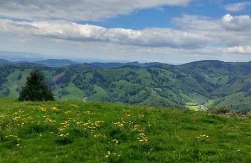 Traumurlaub in Sicht! 77qm Familiendomizil - Foto 23