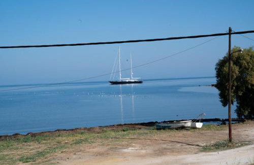 Sea & View Villas - Foto 48