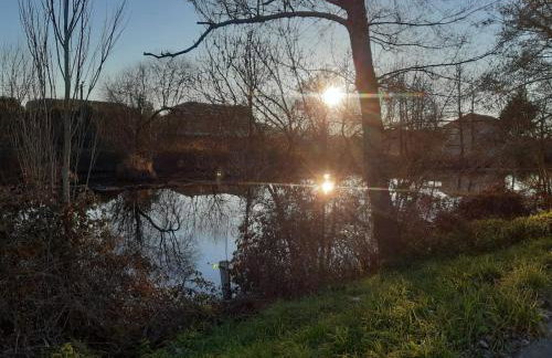Ático Rosita en Camino de Santiago - Foto 25