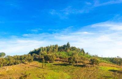 Casa Serra São Mamede - Foto 7
