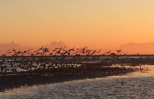 Old Telephone Exchange - Foto 26