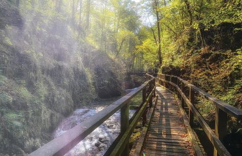 Gorska Idila - Kuća za odmor Breza - Foto 22