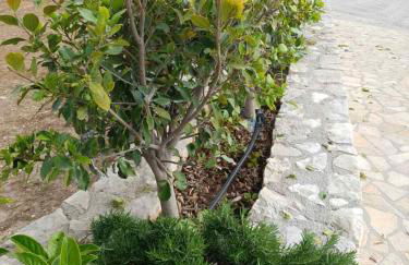 Villa Clio - Foto 24