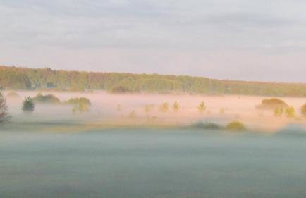 Domek przy Puszczy Białowieskiej - Foto 16