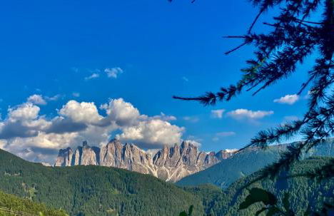 Oberprantschöllhof - Horse Mountain Stable - Foto 35