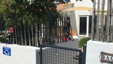 Les Agapanthes - Foto 2