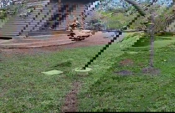 Tiny House Garden - Praia Grande - SC - Foto 73