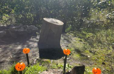 Cabane atypique sur une Île - Foto 64