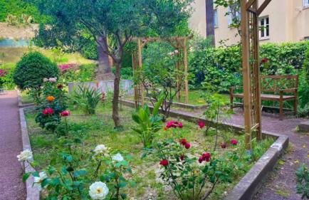 L'Avenir du Ray - Photo 20