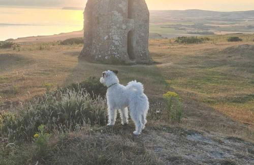 The Retreat - Photo 19