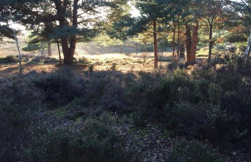 Foxgloves self catering - Foto 20