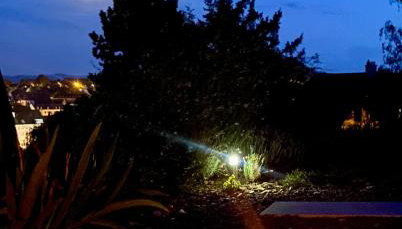 Superbe maison avec jardin - Foto 3, Garden view