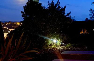 Superbe maison avec jardin - Foto 11