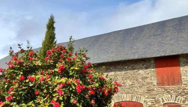 Gîte le pré des Colombes - Foto 5