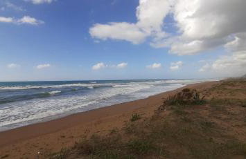 Asfendamos - Foto 36