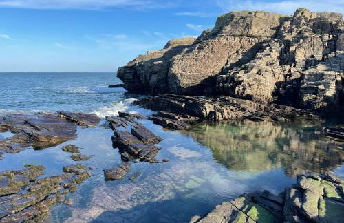 Shepherd Moon - Foto 16