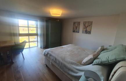 Villa d'exception LA BELLE DES VOSGES 4 étoiles, bain nordique, sauna, billard etc - Foto 21