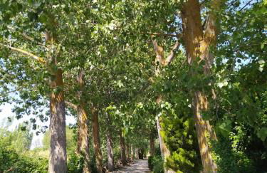 Alojamiento Rural La Arboleda - Foto 21