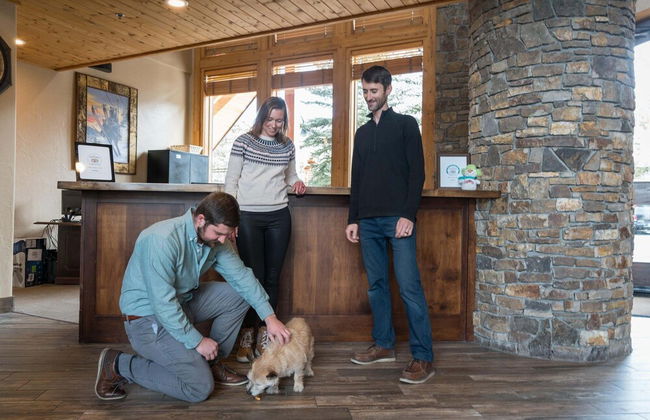 Bear Creek Lodge by Alpine Lodging Telluride - Foto 6