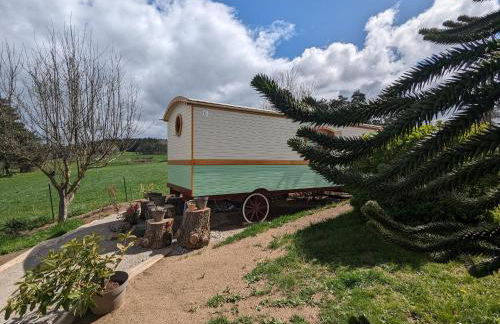 Roulotte cosy avec jacuzzi et spa, massages bien-être, nature et calme, près de Lyon - FR-1-582-477 - Foto 12