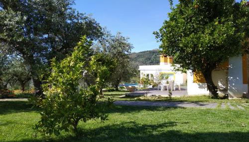 Casa da Paleta - Foto 2