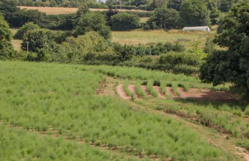 Phocle Ridge - Foto 41