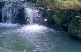 Cabana do Lago- Morro da Borússia - Foto 28