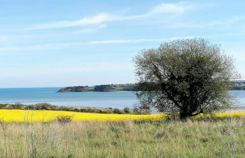 Le Ti'Cocoon Studio en Rez-de-Jardin - Foto 16