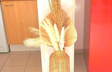 Escale marine - Foto 5