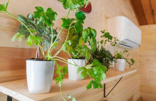 Cozy Cedar Cabin Steps Away From Mt. Rainier - Foto 28