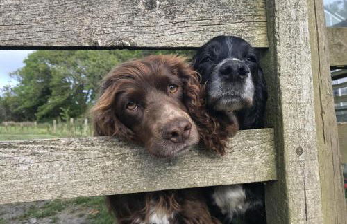 The Tack Room - Foto 17